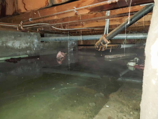 Best Water damage cleanup near me  in Weaverville, CA