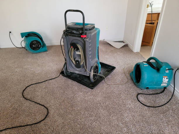 Best Sewage cleanup and water damage restoration  in Weaverville, CA