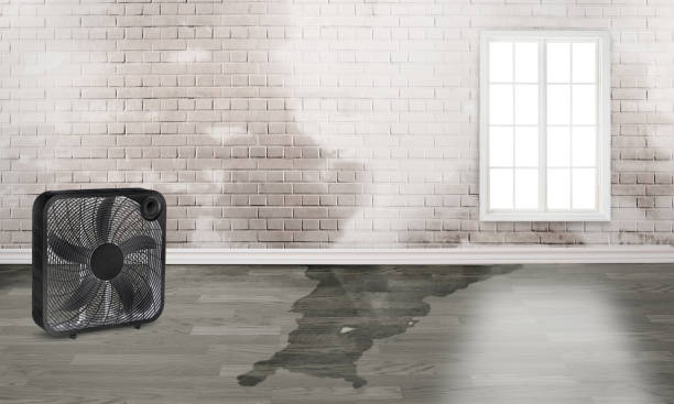 Best Residential water damage restoration  in Weaverville, CA